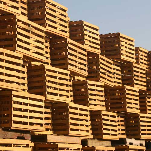 Odoo - Sample 3 for three columns